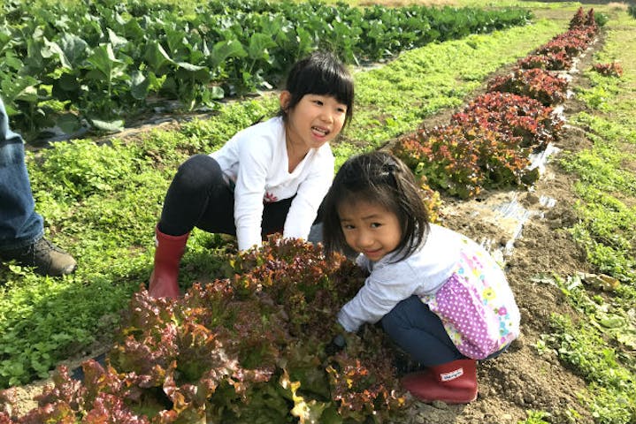 農業公園ぽんぽこ村 ネット予約ならアソビュー 農業公園ぽんぽこ村 ネット予約ならアソビュー