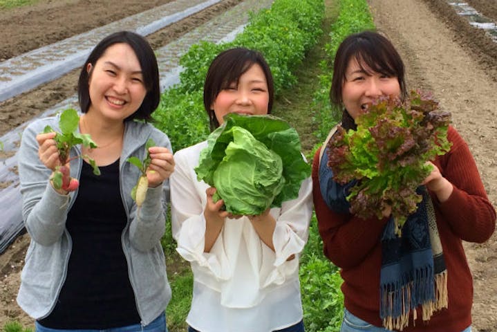 農業公園ぽんぽこ村 ネット予約ならアソビュー