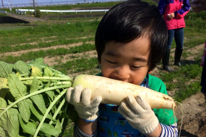 農業公園ぽんぽこ村 ネット予約ならアソビュー