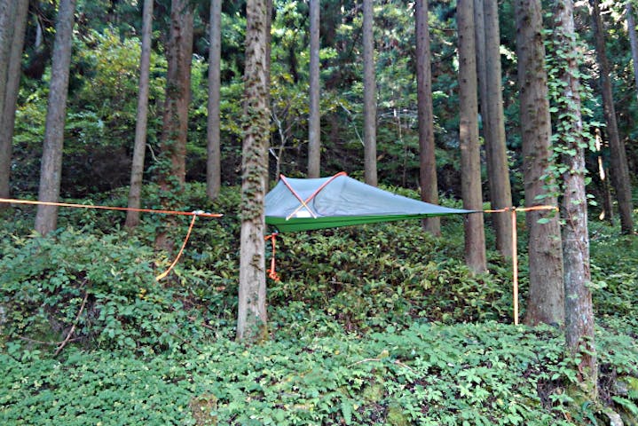 鳥取県 鳥取市 キャンプ場 雲の上で寝ている感覚のツリーテント 空中テント体験 アソビュー