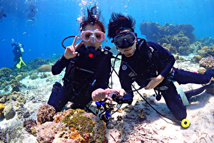 Diving ショップKiaora