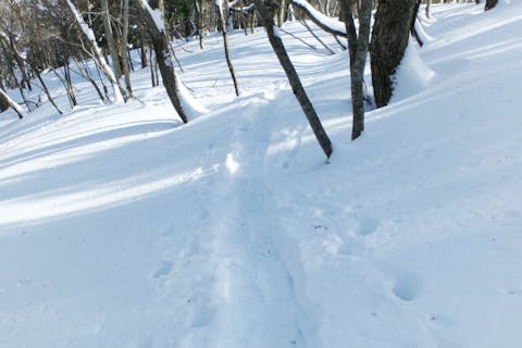 【滋賀・琵琶湖西岸・スノートレッキング】びわ湖バレイで雪景色を散策！スノートレック初心・初級編