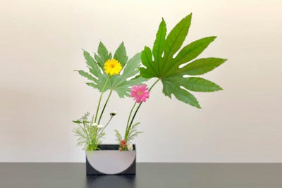 東京・南青山・生け花教室】乃木坂駅徒歩約1分！剣山を使って本格的な