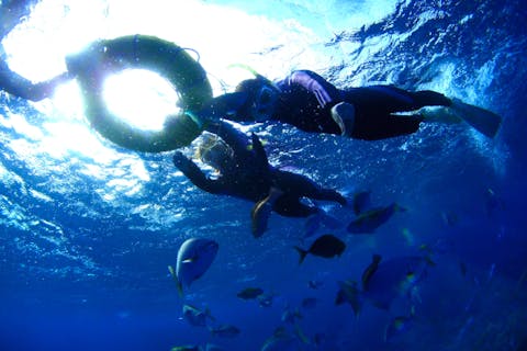 【沖縄・恩納村・シュノーケル】気軽に海の世界を楽しむ！青の洞窟でシュノーケリング