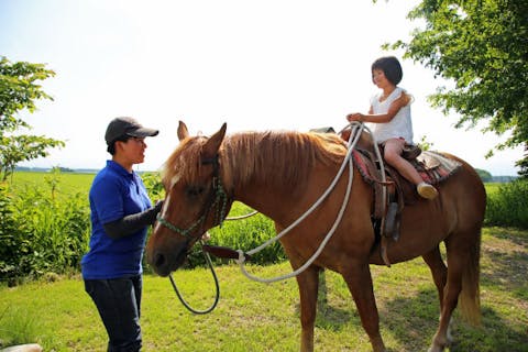 北海道 乗馬 乗馬体験 乗馬クラブ 一覧 料金比較 予約 アソビュー