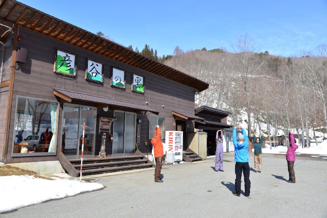 twin tree（ツインツリー） (高山市・丹生川・奥飛騨 スノーシュー・スノートレッキング)の「【岐阜・高山・スノーシュー】雪の広葉樹林をお散歩！スノーシュートレッキング体験」の画像