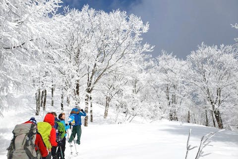 【岐阜・高山・スノーシュー】冬山をお手軽に楽しむ！猪臥山スノーシュートレッキング