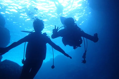 【沖縄・国頭郡・体験ダイビング】グループ貸切！魚の餌付け無料！青の洞窟体験ダイビング（おひとり様開催可能）