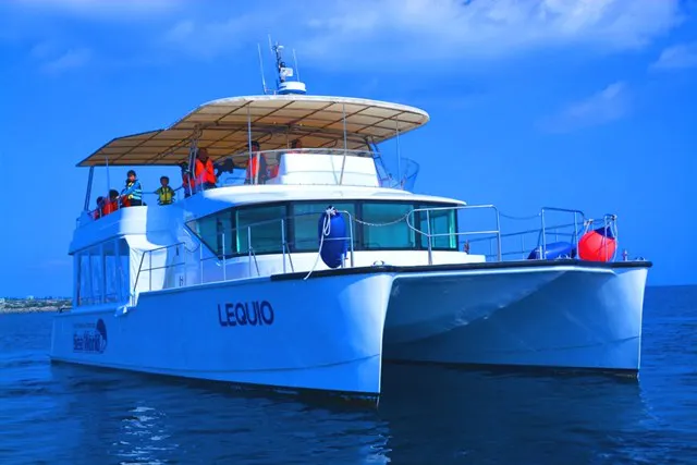 沖縄・那覇発・ホエールウォッチング】☆全額返金保証☆船酔い対策