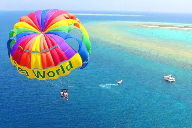 沖縄・那覇発・ホエールウォッチング＆パラセーリング】☆全額返金保証