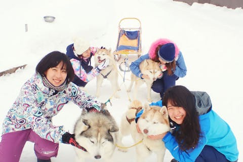 【札幌発・犬ぞり】富良野・美瑛、スノーシューが楽しめる北海道1日満喫プラン！ 嬉しい写真データ付き！