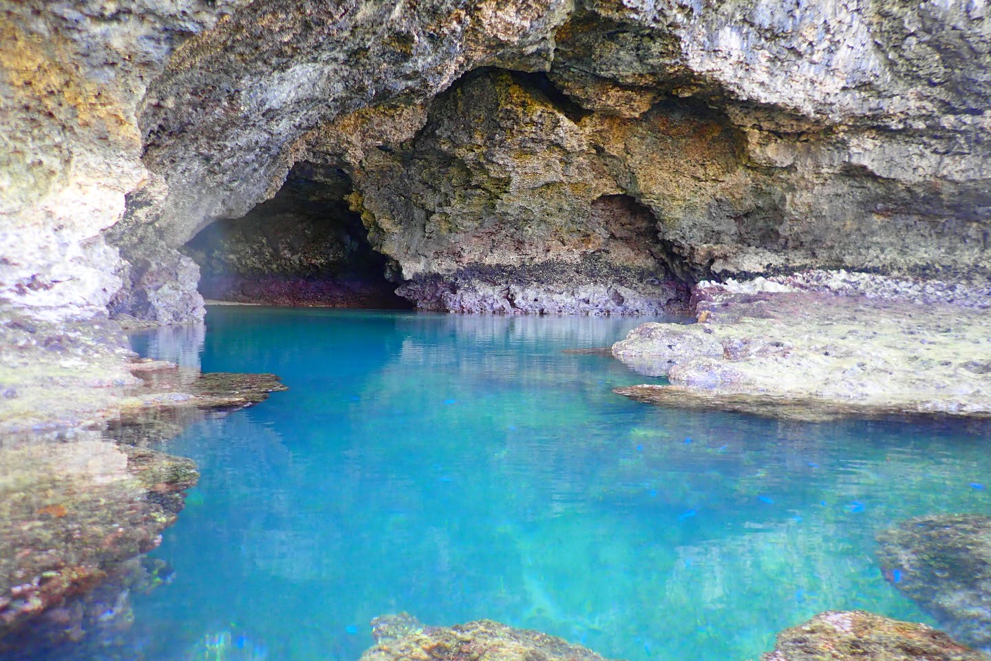 【沖縄・石垣島・シュノーケリング】秘境・青の洞窟を望む！シュノーケリングツアー（半日）