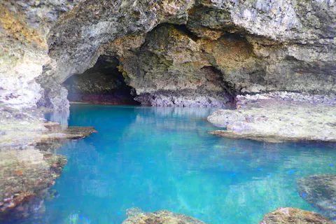 石垣島シュノーケリング比較 アソビュー 石垣島シュノーケルツアー予約