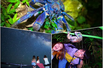 石垣島/夜】南十字星観測チャンス！星空＆亜熱帯ジャングルナイト
