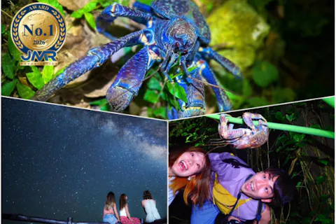 【石垣島/夜】年間参加者数No.1*！星空＆亜熱帯ジャングルナイトツアー！天の川の観測チャンス★夜の石垣島の大冒険！
