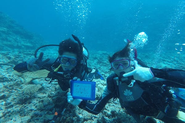 沖縄・池間島・ダイビング】八重干瀬で体験ダイビング+シュノーケル3