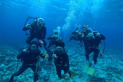 【埼玉県・さいたま市・ライセンス取得】真の水中世界を味わうための第一歩！最短4日間でダイビングライセンス（Cカード）取得コース＜安心の女性スタッフ常駐＞