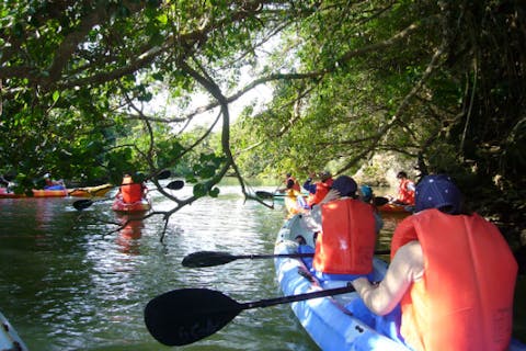 【石垣島・宮良川】アドベンチャー気分満点の宮良川マングローブ・カヌーツアー（90分コース）大人￥3000・小学生￥2500・乳幼児￥1000