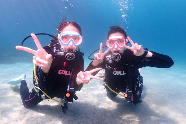 高知・柏島・体験ダイビング】初心者歓迎！写真付き体験ダイビング