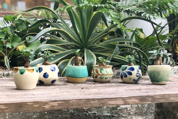 沖縄・名護・JUNGLIA・古宇利島】沖縄『RYUKYUYAKI琉球焼 』やちむん