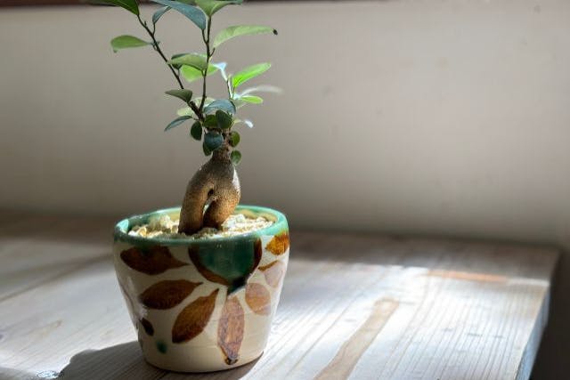 沖縄・名護・JUNGLIA・古宇利島】沖縄『RYUKYUYAKI琉球焼 』やちむん