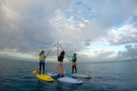 【沖縄・浦添・SUP】大自然を満喫！那覇近郊の綺麗な海で話題のSUPを体験