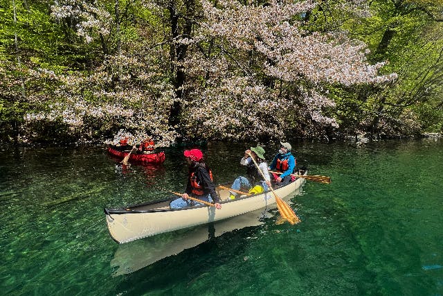 【青森・十和田・カヌー】噴火で出来たカルデラ湖をカヌーで漕ぎ進む！十和田湖カナディアンカヌーツアー