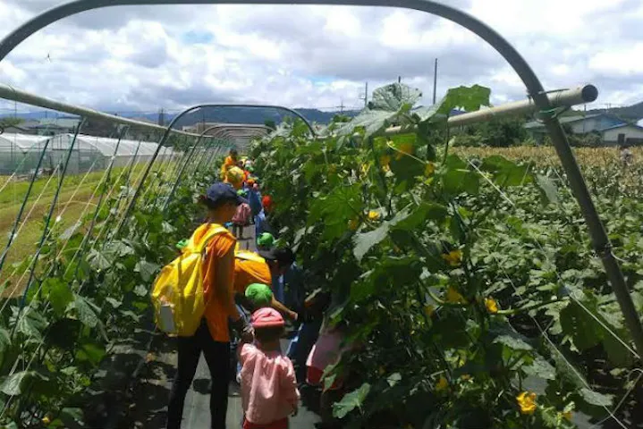 秦野いとう農園 ネット予約ならアソビュー