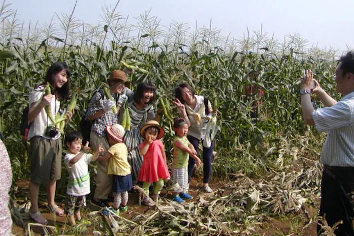 秦野いとう農園 ネット予約ならアソビュー