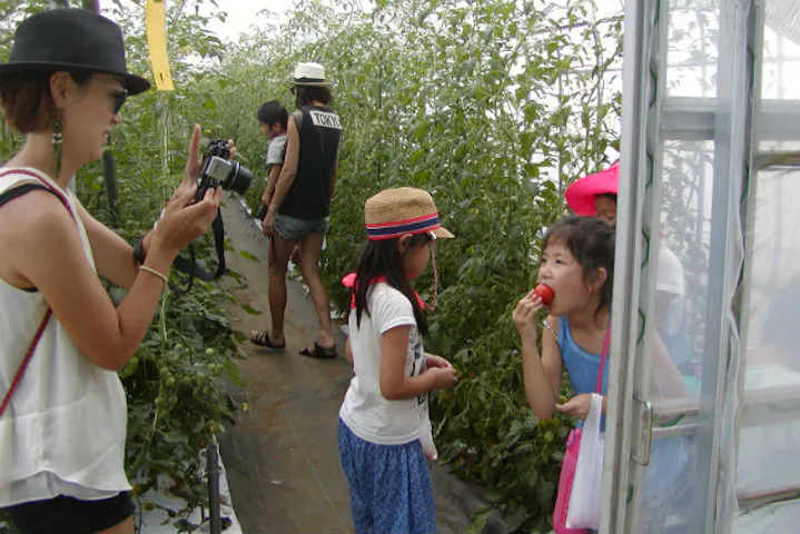 秦野いとう農園 ネット予約ならアソビュー