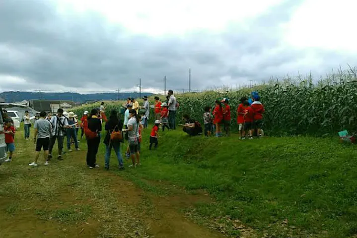 秦野いとう農園 ネット予約ならアソビュー
