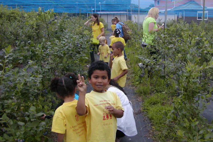 神奈川 秦野 ブルーベリー狩り いろいろな種類を食べ比べ ブルーベリー狩り アソビュー