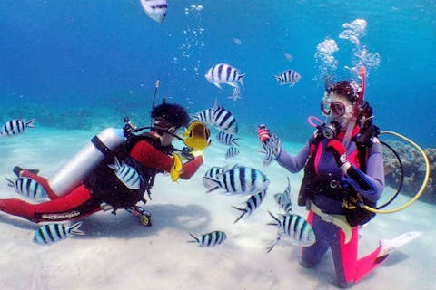 【沖縄・慶良間・ファンダイビング】初心者さん応援プラン！ファンダイビング2ダイブ