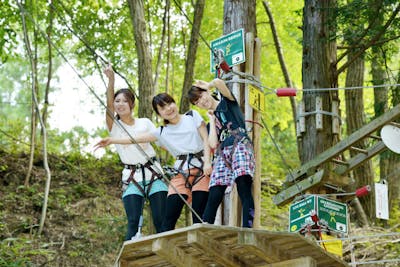 岡山 蒜山 アスレチック 難易度高めの大冒険に挑戦 アドベンチャーコース アソビュー