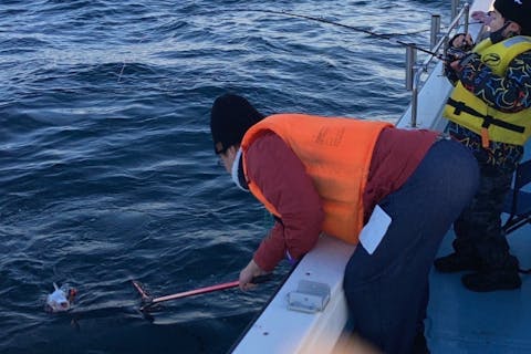 【鹿児島県・鹿児島市・船釣り】壮大な桜島を眺めながら満喫！船釣り体験（8時間）
