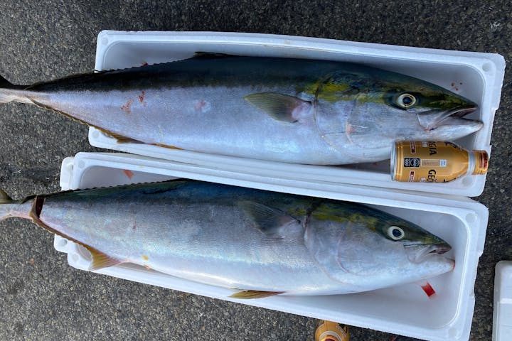 Sunny Fishing サニーフィッシング ネット予約ならアソビュー Sunny Fishing サニーフィッシング ネット予約ならアソビュー