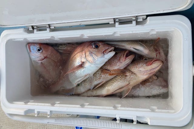 鹿児島海釣り・船釣り体験 料金比較・予約【アソビュー！】