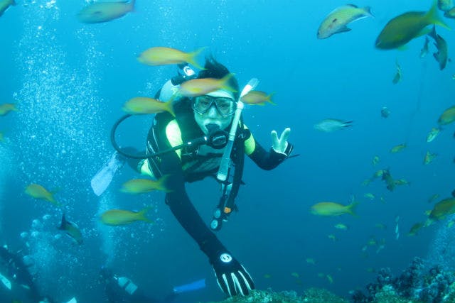 【神奈川・藤沢・体験ダイビング】少人数制で安心！海の生物いっぱいの体験ダイビング