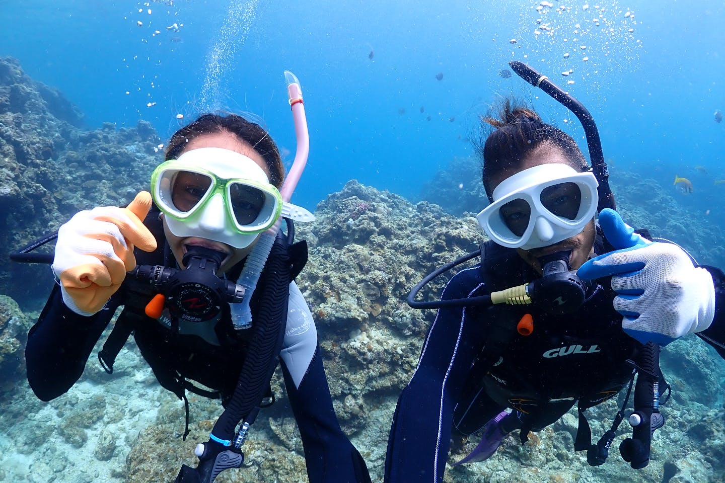 ダイビングショップMalDiveの割引プラン
