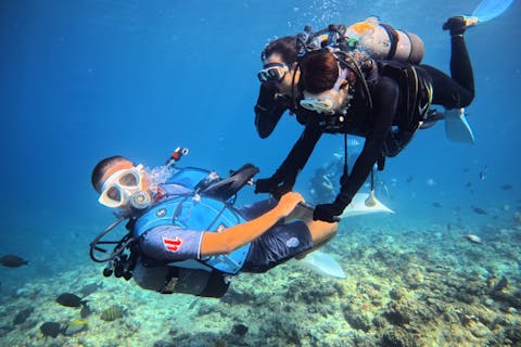 【沖縄・本部-ゴリラチョップ・体験ダイビング】Gopro写真＆餌付け無料！安心の貸切で体験ダイビング