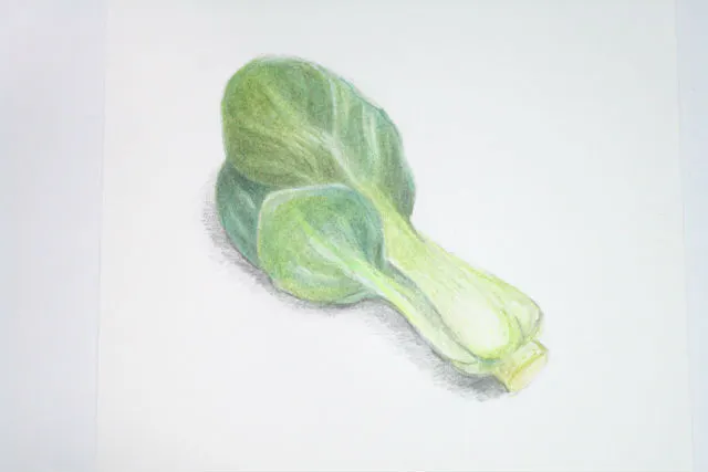 神奈川 藤沢 絵画教室 初心者歓迎 大人の絵画体験 デッサンまたは色鉛筆画 アソビュー