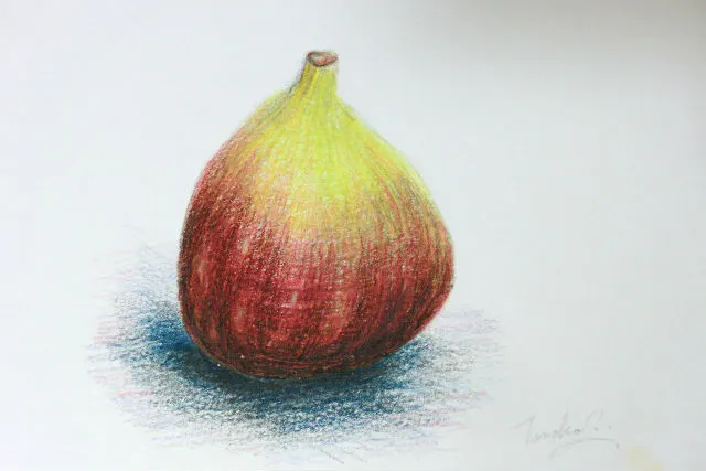 神奈川 藤沢 絵画教室 初心者歓迎 大人の絵画体験 デッサンまたは色鉛筆画 アソビュー