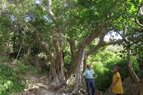 【沖縄・国頭村・ガイドツアー】沖縄最初の聖地をめぐろう！スピリチュアルガイドツアー