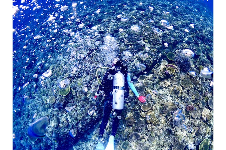 スキューバダイビング今帰仁ブルー