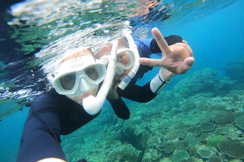 【沖縄・今帰仁・シュノーケリング】自然豊かな海中世界を満喫！ビーチシュノーケリング1本