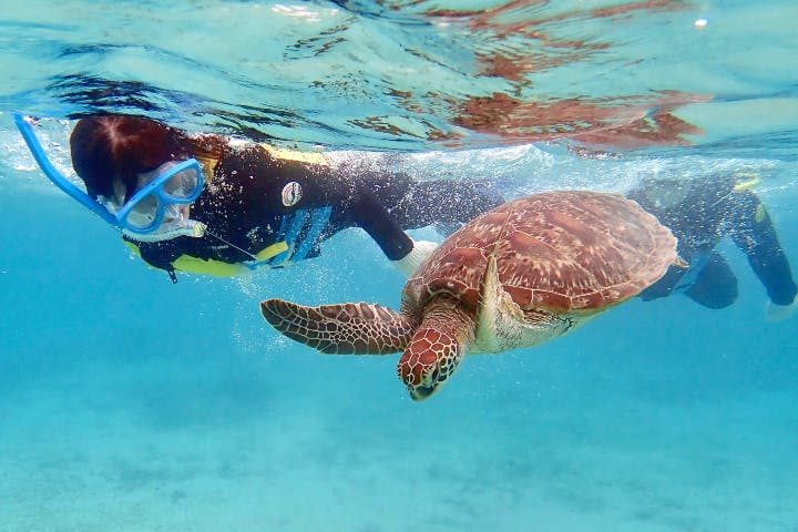 OCEANZ（オーシャンズ）