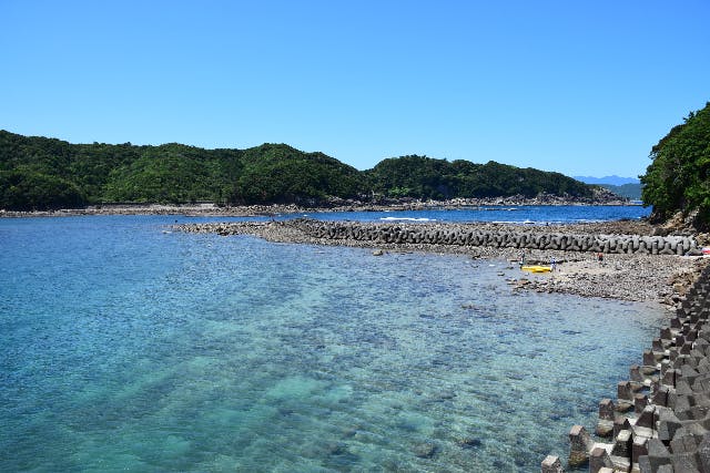 徳島 竹ヶ島 遊覧船 海の中まで見えちゃう 観光船ブルーマリン号で遊覧しよう アソビュー