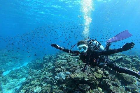 【沖縄・慶良間・ファンダイビング】たくさんの観光客を魅了する慶良間諸島1日3DIVEコース