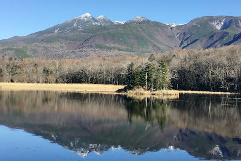 【北海道・知床・トレッキング 】知床の人気ナンバーワン！知床五湖全周トレッキングツアー