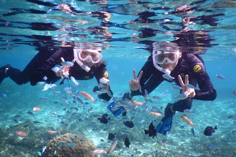 【沖縄・今帰仁・クリアカヤック】透き通る沖縄ブルーをクリアカヤックとシュノーケリングで体いっぱい味わおう！